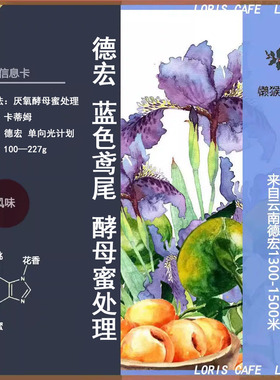 蓝色鸢尾云南德宏精品咖啡豆 酵母处理花香果酸懒猴中浅手冲咖啡