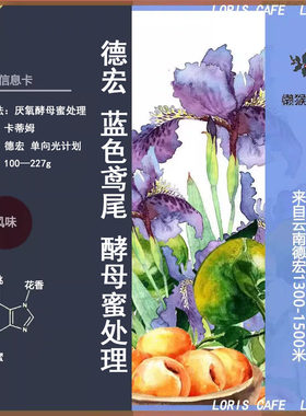 花香果酸酵母处理咖啡豆