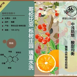 哥伦比亚栎树庄园中浅烘焙水洗瑰夏咖啡豆 懒猴自烘焙