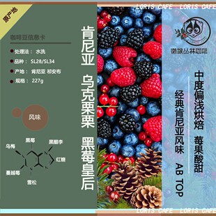 经典莓果风味肯尼亚黑莓皇后精品中浅烘咖啡豆 K72水洗懒猴自烘焙