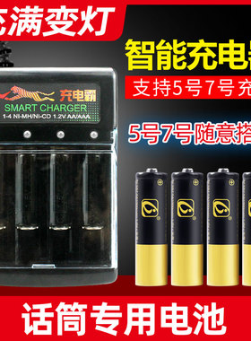 话筒可充电电池套装高容量AA5号玩具相机麦克风鼠标智能充电器