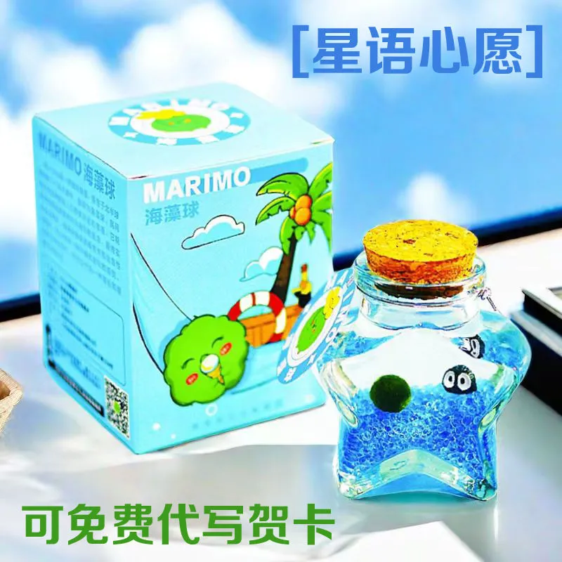 marimo海藻球生态瓶水培植物桌面微景观室内好养节日同学创意礼物