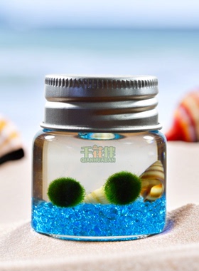 MARIMO幸福海藻球生态瓶玻璃微景观水培植物创意礼物桌面迷你盆栽