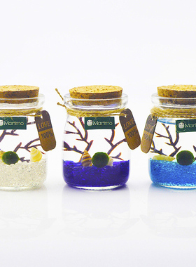 marimo海藻球宝宝绿球藻生态瓶微景观桌面办公室水培植物生日礼物