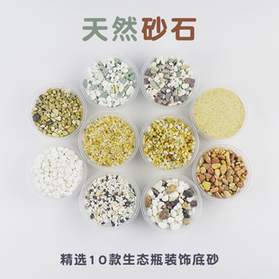 marimo海藻球生态瓶水族鱼缸底砂 白石子河沙子河砂化妆砂 装饰砂