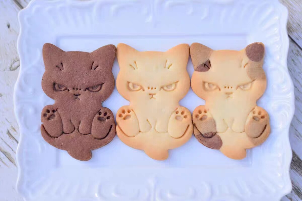 IQ创意烘焙PLA塑料韩式模具小猫