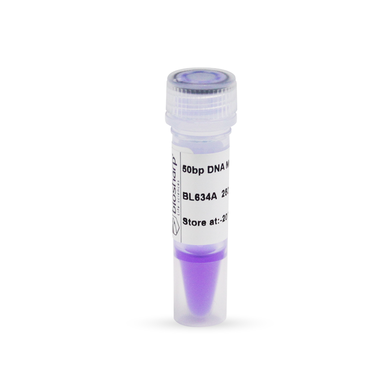 Biosharp BL634A 50bp DNA Marker分子量标准（50-600bp）50T