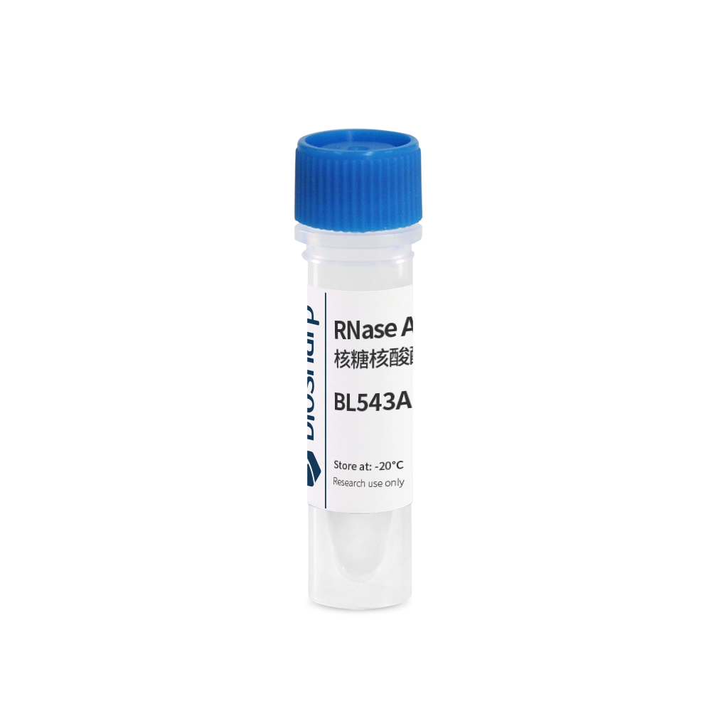 Biosharp BL543A RNase A溶液（核糖核酸酶 A,10mg/ml）1ml