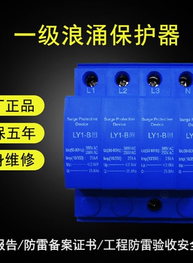 一级电源防雷器limp25KA T1避雷器 10/350us I级试验浪涌保护器4P