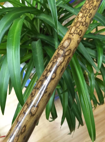 筠笙师傅精制调fG专业演奏洞箫花斑竹洞箫箫湘仙子精品湘妃竹