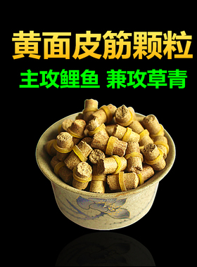 小黄面皮筋颗粒鱼饵黑坑水库野钓鲤鱼青草大鱼套筋饵配方原塘挂饵