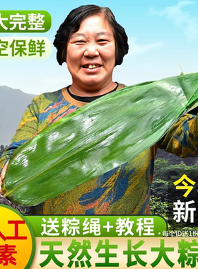 粽叶新鲜家用端午包粽子叶