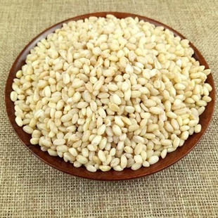新货脱皮麦仁去皮大麦仁5斤大麦米粥原料农家粗粮五谷杂粮麦仁米
