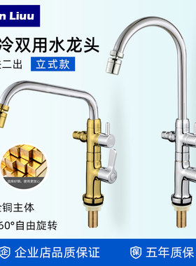 单冷一进二出龙头洗衣机双用立式水龙头家用大理石安装洗车水龙头