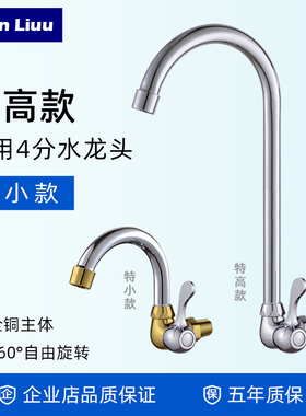 单冷入墙式水龙头拖把池加高水龙头厨房洗菜盆水龙头家用小型龙头