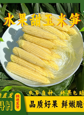 水果甜玉米笋新鲜9斤玉米笋迷你拇指玉米沙拉菜蔬菜食材包邮即食