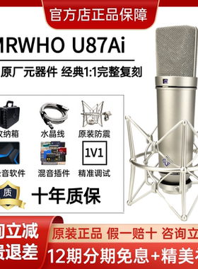 MRWHO-U87AI大振膜电容麦克风烟头手工话筒完整一比一复刻包顺丰