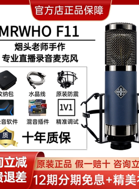 MRWHO F11大震膜电容话筒晶体管系列烟头录音棚麦克风直播推荐