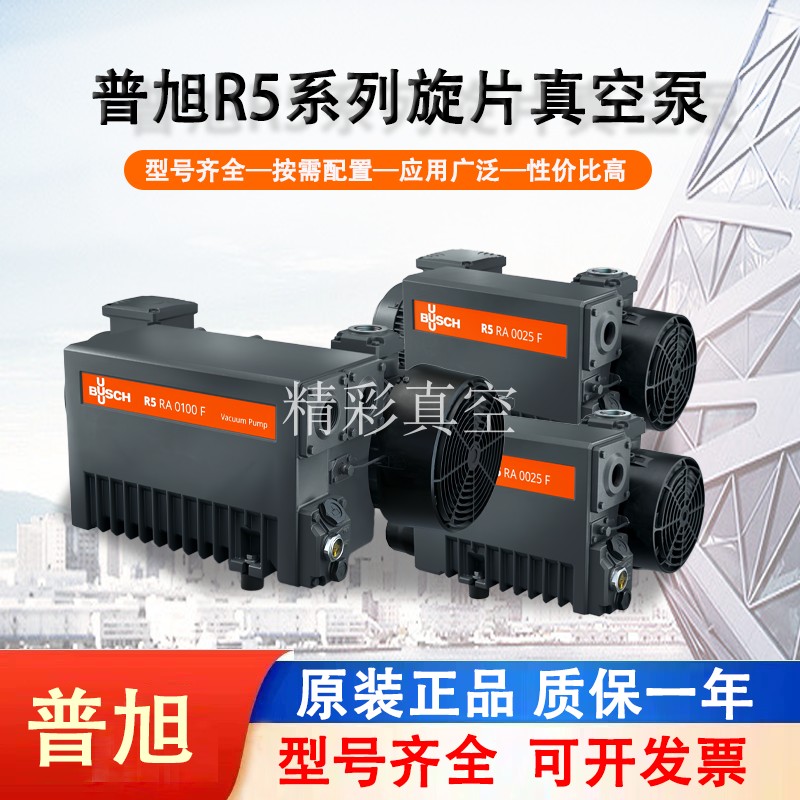 BUSCH德国普旭真空单级旋片RA63F/100F进口RD0200A/360A油泵302D