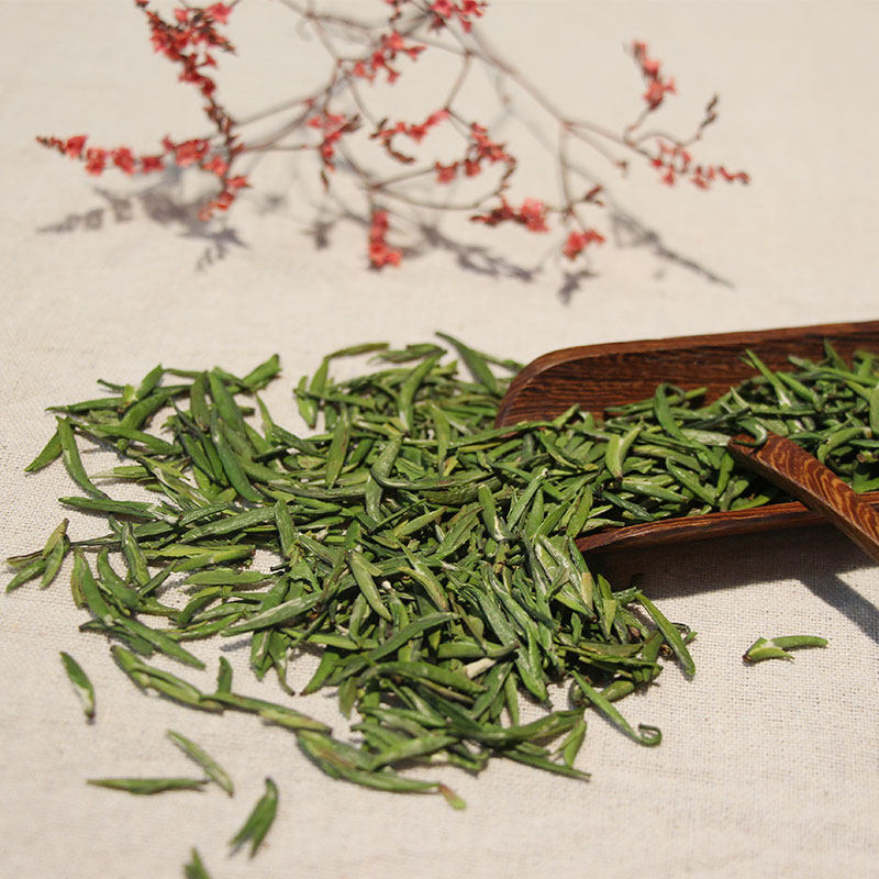 川茶广安松针明前新茶头采茶芽鲜爽回甘特级150g散装松芽