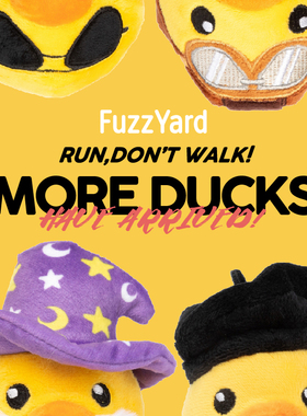 FuzzYard宠物狗狗玩具发声陪伴巡回互动毛绒玩具缓解焦虑圣诞礼物