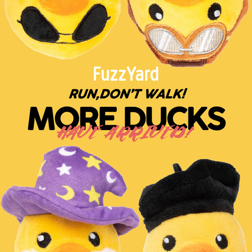 FuzzYard狗狗圣诞礼物发声玩具