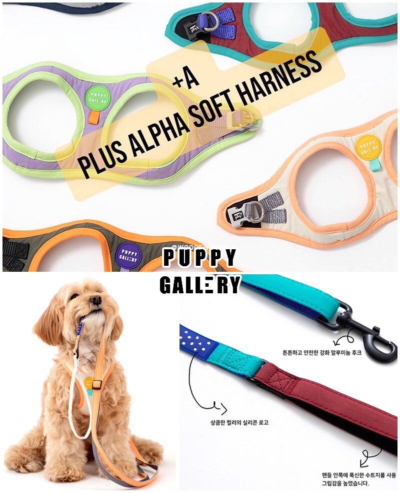 +A Harness韩国Puppy Gallery纯棉胸背带中小型犬狗狗遛猫牵引绳