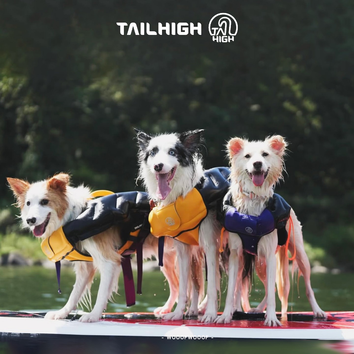 充气救生衣 TAILHIGH韩国宠物狗狗猫游泳衣大中小型犬便携救生衣