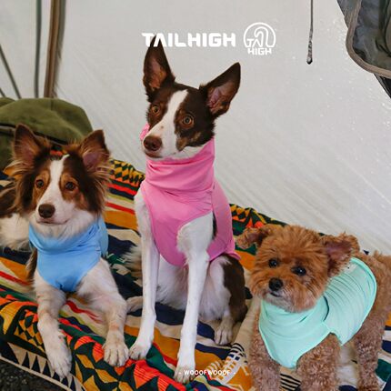 高领凉凉背心 Tailhigh韩国宠物狗猫防中暑防紫外线凉感防晒衣服