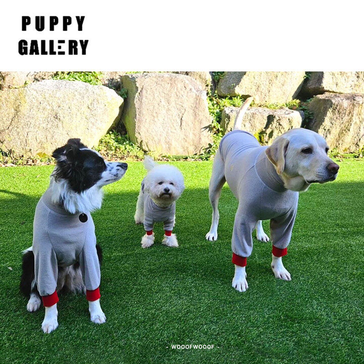 心跳高领卫衣 Puppy Gallery韩国宠物狗狗小型中大型犬保暖衣服