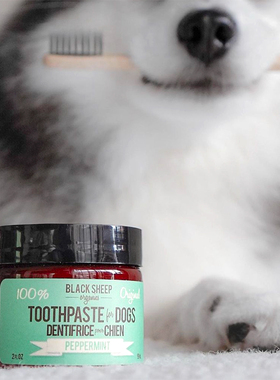椰油薄荷牙膏 BlackSheep加拿大进口宠物狗狗牙膏去除口臭牙结石