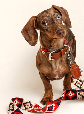 Capri/Peruvian系列 Buddys西班牙进口宠物印第安风编织项圈牵引