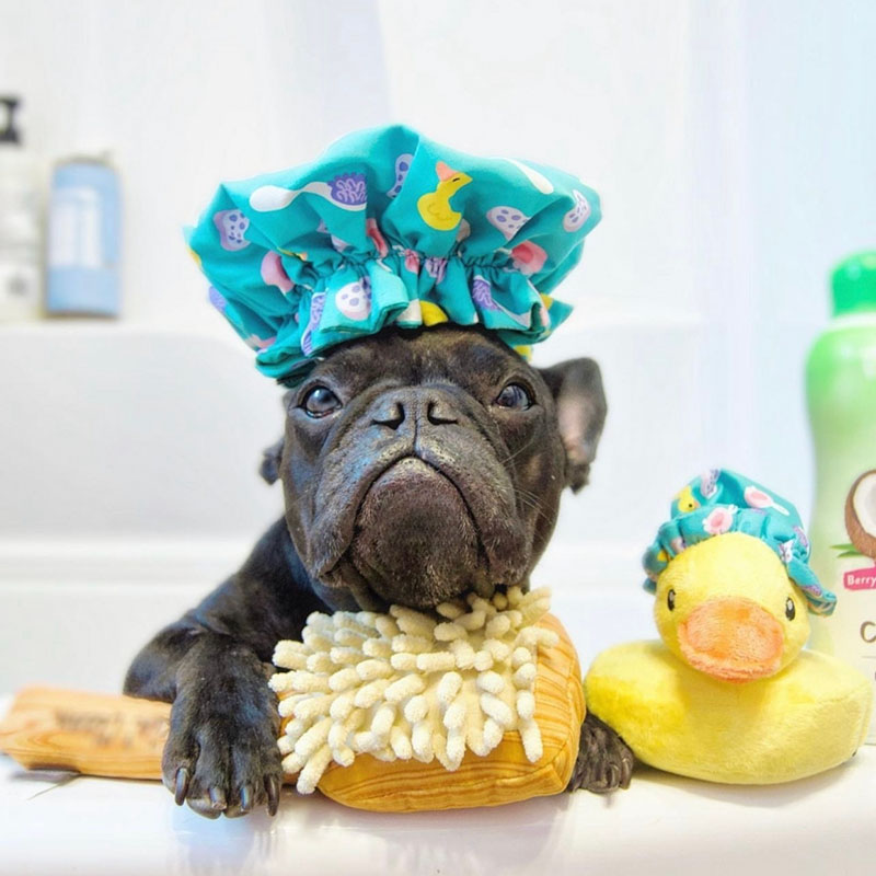 petplay宠物玩具狗狗毛绒互动