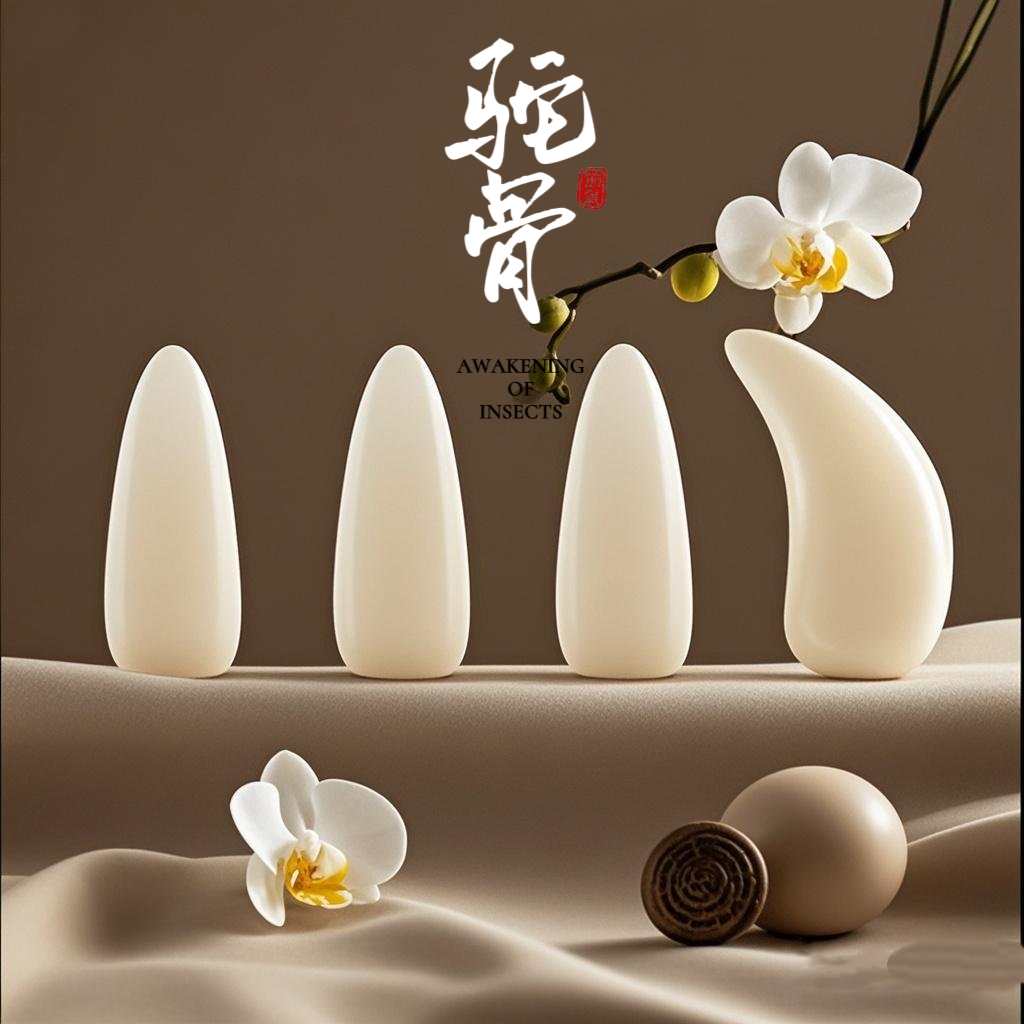 驼骨天然古筝指甲儿童专用演奏考级摇指古筝专业指甲成人义甲片