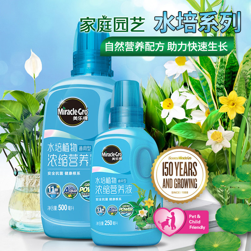 水培植物营养液专通用型水养铜钱草巴西木绿萝富贵竹叶子发黄室内