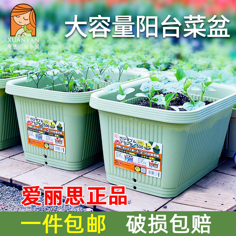 爱丽思丝花盆阳台专用箱神器塑料种植长方形种菜盆户外家庭蔬菜箱