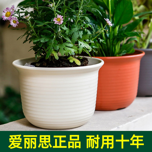 爱丽丝中钵套装树脂绿萝吊兰花盆