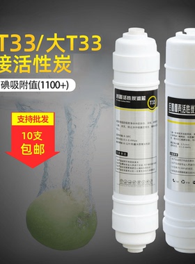 净水器椰壳后置活性炭2分3分快接大小T33 纯水机滤芯10寸通用配件