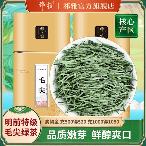 祁雅2026新茶毛尖绿茶茶叶250g