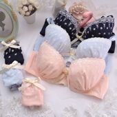 有大码 粉色蓝色小清新雪纺日系内衣薄棉刺绣可爱少女文胸套装 包邮