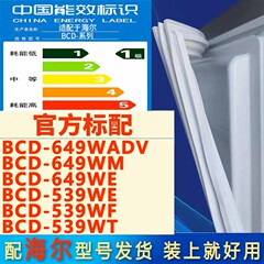 适用海尔对开双门冰箱BCD-649WADV WM WE 539WE WF WT门密封条圈