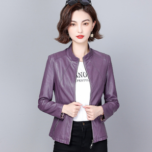 海宁真皮皮衣女短款秋季新款绵羊皮立领百搭皮夹克小个子修身外套