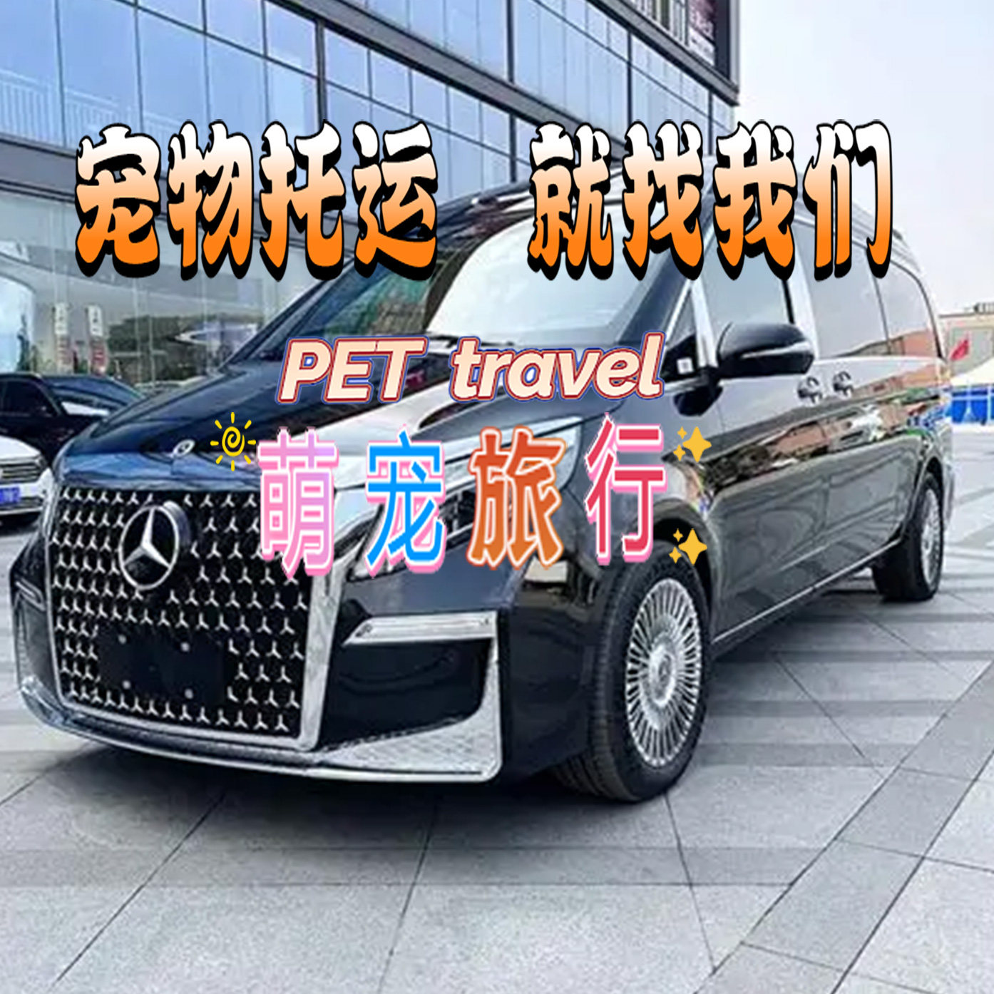 宠物托运全国猫咪狗狗手续办理香港澳门人宠拼车包车等服务