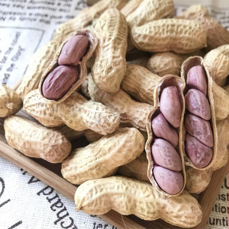正宗龙岩农家红衣湿烤花生