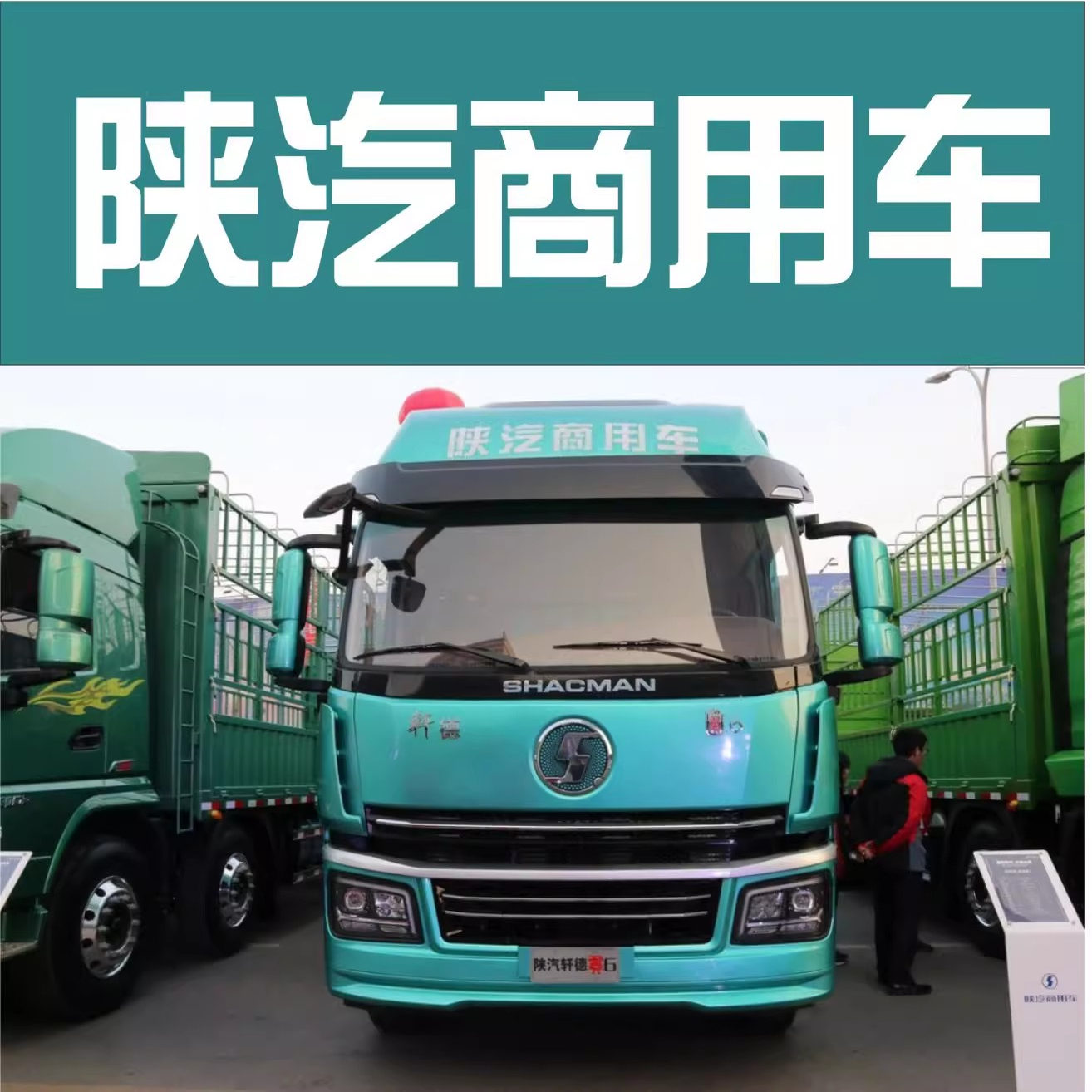 德龙X3000/X5000用WP13/T-MVP