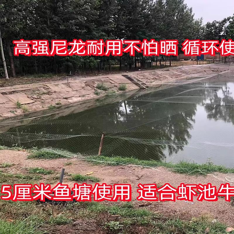 尼龙鱼塘防鸟网4公分5白