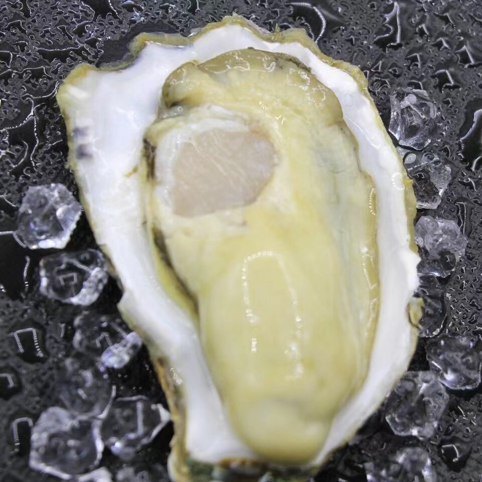 大连海鲜生蚝刺身鲜活水产带壳大海蛎子牡蛎