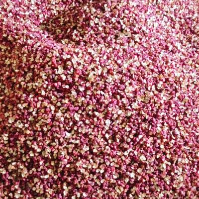 花椒批发甘南舟曲特产六月梅花椒大红袍花椒炒菜烧菜麻椒粒特麻