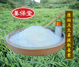 原始点提取20克两件包邮生姜