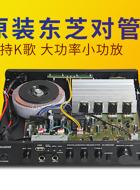 无损蓝牙hifi发烧大功率小功放机家用立体声迷你桌面小型K歌299D